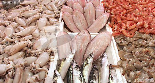 Image of Fish market