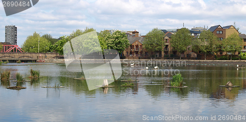 Image of Surrey Water, London