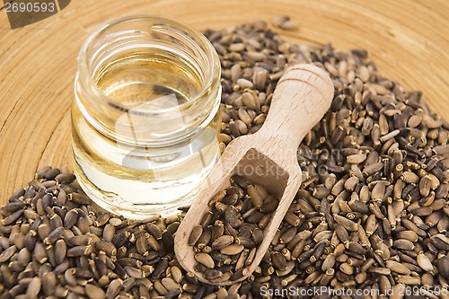 Image of Seeds of a milk thistle (Silybum marianum, Scotch Thistle, Maria