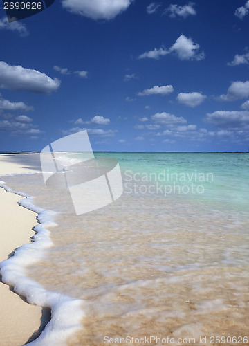 Image of Lonely beach