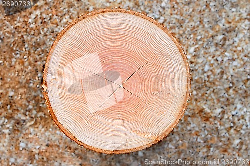 Image of Firewood cutting log