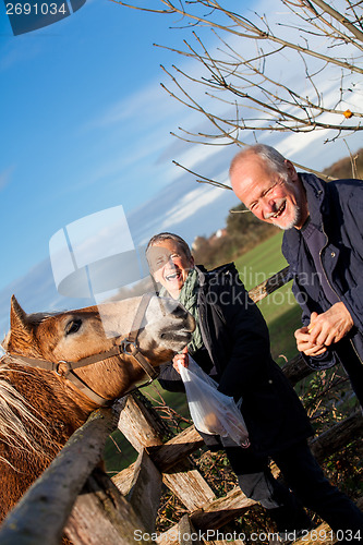 Image of Elderly couple petting a horse in a paddock