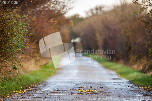 Image of landscape and street in autumn spring outdoor 