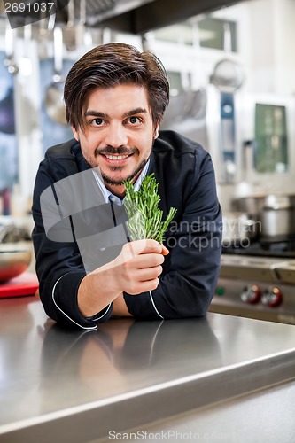 Image of Chef checking the freshness of a bunch of herbs