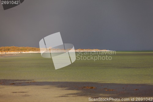 Image of baltic sea background evening wooden wave breaker beach