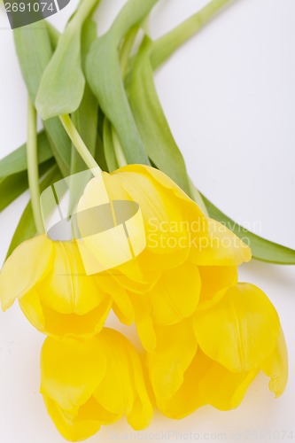 Image of Bunch of cheerful yellow tulips