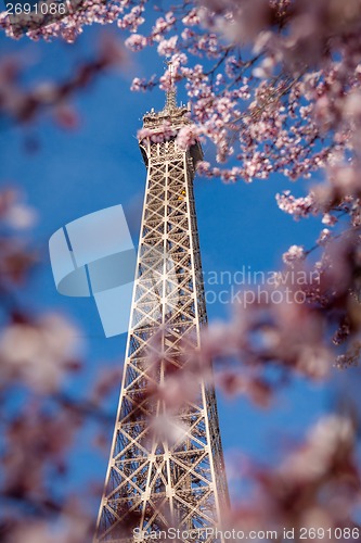 Image of Eiffel Tower in Paris