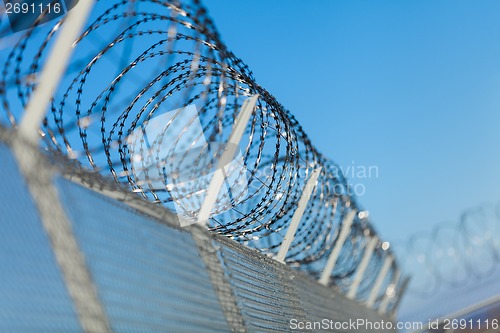 Image of Coiled razor wire on top of a fence