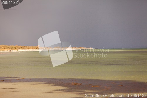 Image of baltic sea background evening wooden wave breaker beach