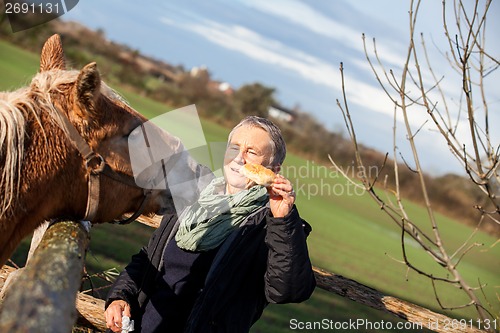 Image of Elderly couple petting a horse in a paddock