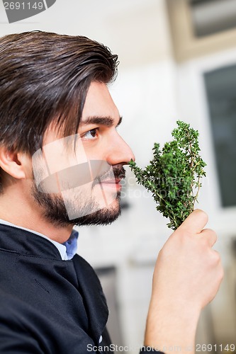 Image of Chef checking the freshness of a bunch of herbs