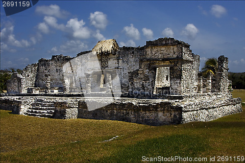 Image of  a wild angle of the tulum   mexico america