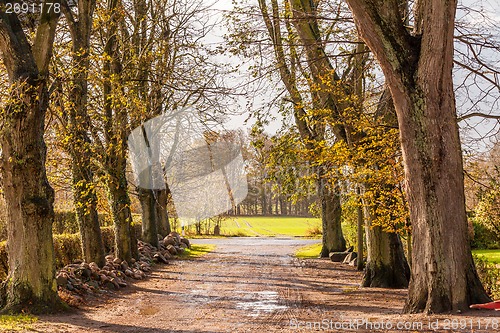 Image of landscape and street in autumn spring outdoor 