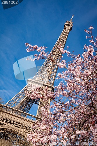 Image of Eiffel Tower in Paris