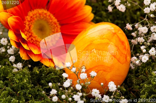 Image of Vivid orange Easter egg with a gerbera and rose