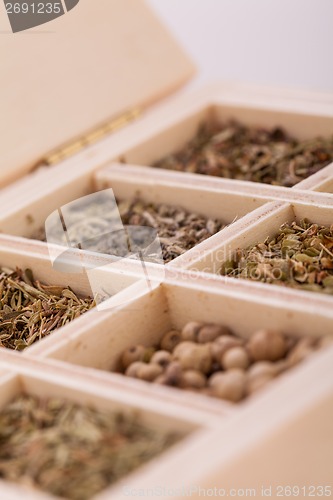 Image of Tray with assorted dried spices and herbs