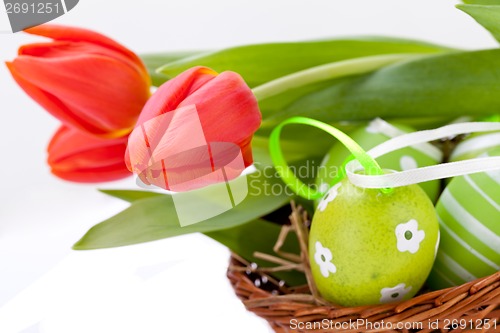 Image of beautiful easter egg decoration colorfull eggs seasonal pastel 