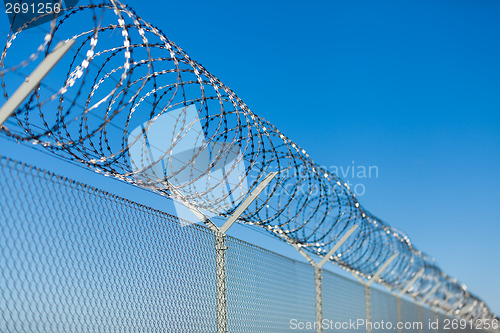 Image of Coiled razor wire on top of a fence