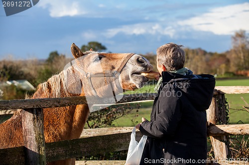 Image of Elderly couple petting a horse in a paddock