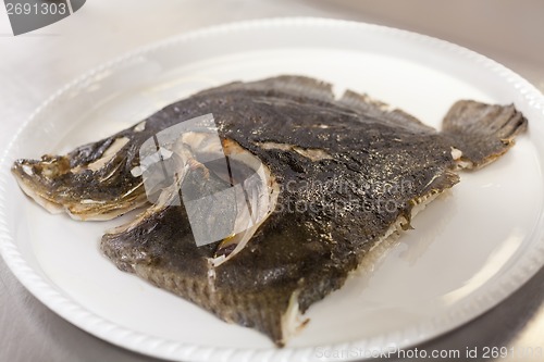 Image of Piece of fresh fish fillet