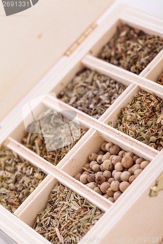 Image of Tray with assorted dried spices and herbs