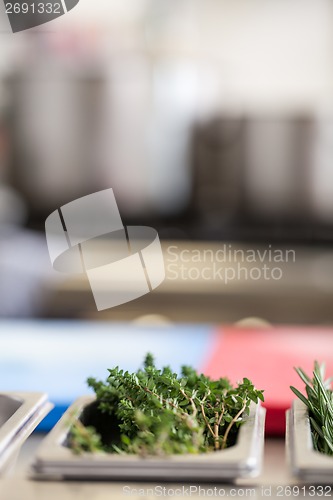 Image of Fresh rosemary sprigs on a kitchen counter