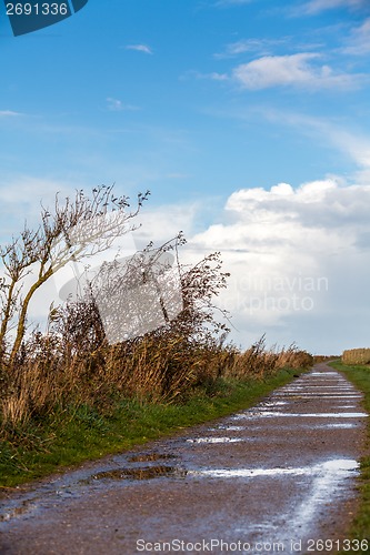 Image of landscape and street in autumn spring outdoor 