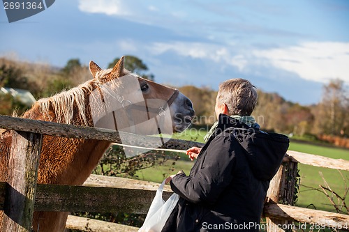 Image of Elderly couple petting a horse in a paddock