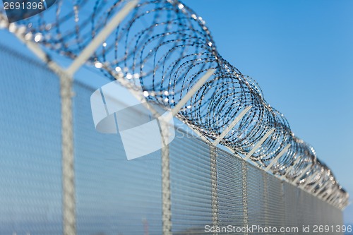 Image of Coiled razor wire on top of a fence