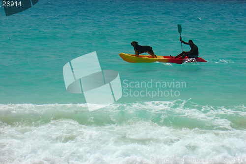 Image of Dog in the boat on the sea