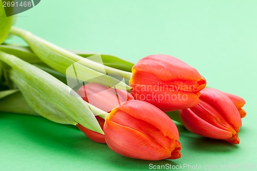 Image of Beautiful fresh red tulips for a loved one