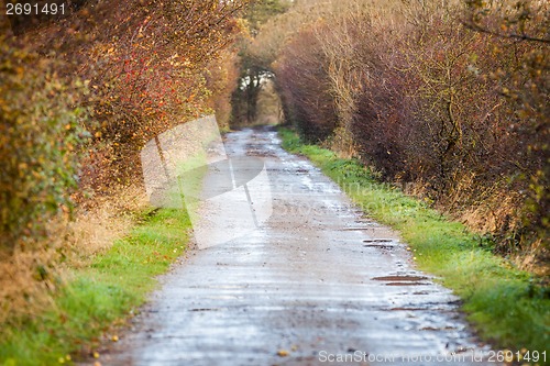 Image of landscape and street in autumn spring outdoor 