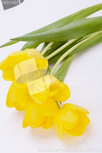 Image of Bunch of cheerful yellow tulips