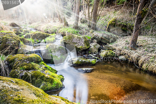 Image of Falls on the small mountain river in a wood