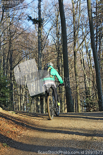 Image of Mountain cyclist 