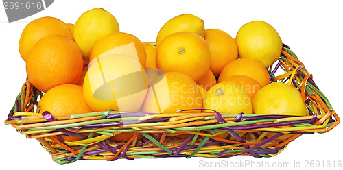 Image of citrus