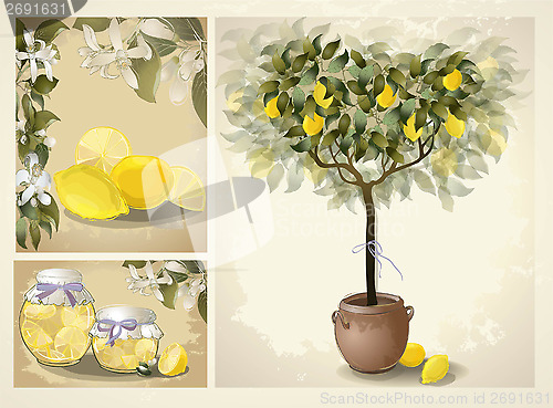 Image of Tree illustration with lemon fruits. Jam fruit. Preserved fruits