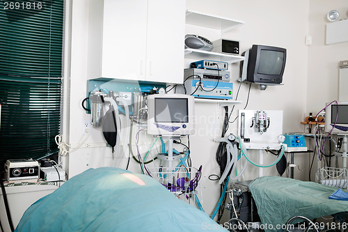 Image of Operating Room In A Veterinary Hospital