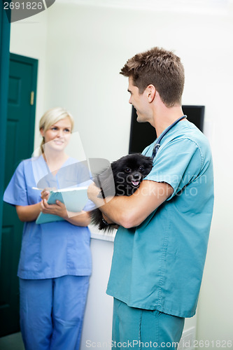 Image of Veterinarian Doctor With A Dog Looking At Female Nurse Holding C