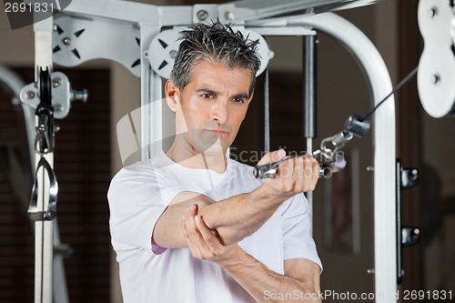 Image of Man Working Out In Gym