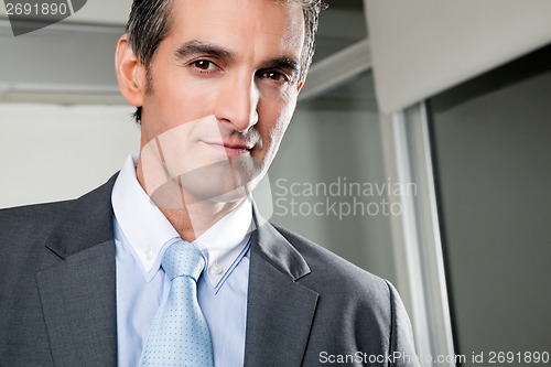 Image of Portrait Of Confident Businessman