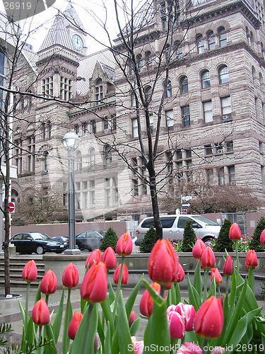 Image of Red Tulips and the Castle