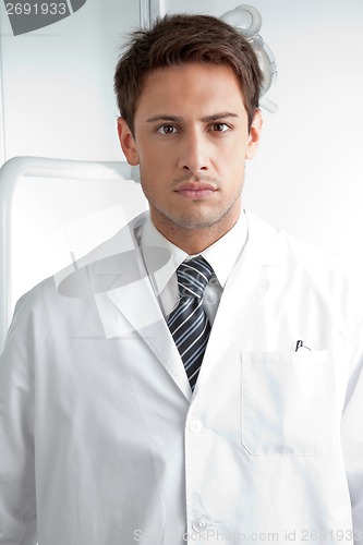 Image of Serious Male Dentist In Clinic