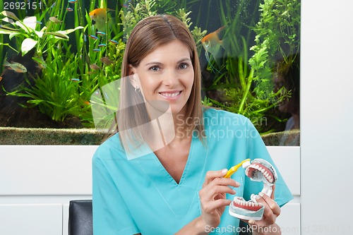 Image of Dentist Demonstrating How To Brush Teeth