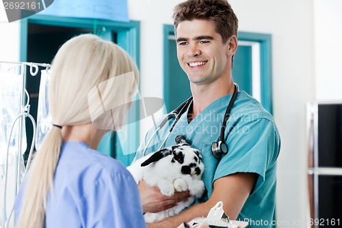 Image of Veterinarian Doctor With Rabbit Looking At Female Nurse
