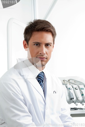 Image of Serious Male Dentist In Clinic