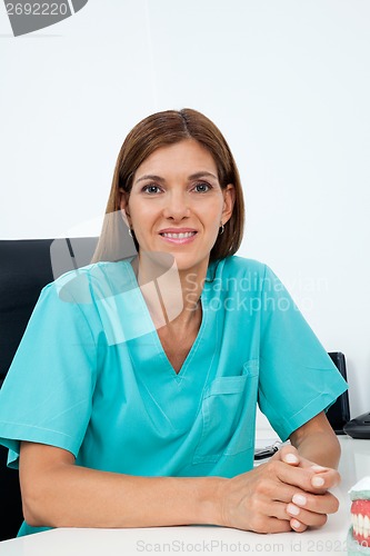 Image of Female Dentist Smiling At Desk