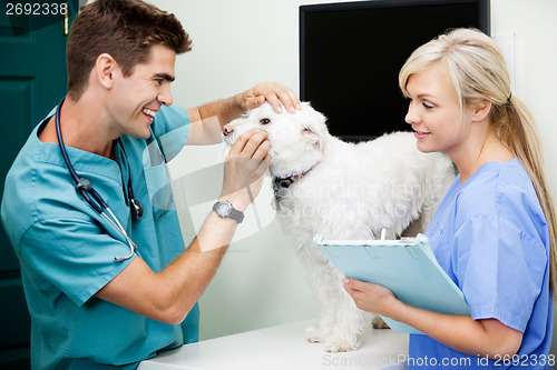 Image of Female Nurse With Veterinarian Doctor Examining A Dog