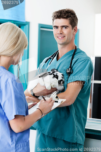 Image of Veterinarian Doctor With Rabbit