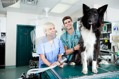 Image of Young Veterinarian Doctors with Dog